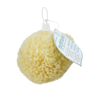 Neptune Natural Sea Wool Sponge - All Natural Honeycomb Renewable Sea Sponge, Large, Approx. 5 Inches