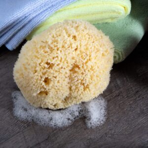 Neptune Natural Sea Wool Sponge - All Natural Honeycomb Renewable Sea Sponge, Large, Approx. 5 Inches