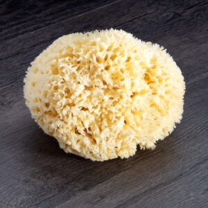 Neptune Natural Sea Wool Sponge - All Natural Honeycomb Renewable Sea Sponge, Large, Approx. 5 Inches