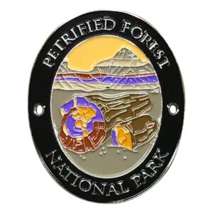 petrified forest national park walking hiking stick medallion - arizona