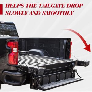 43205 Truck Tailgate Assist Shock Damper fit for Super Duty Ford F250 & F350 2017 2018 2019 2020 2021 2022 Vepagoo