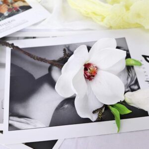 DAMEING Artificial Magnolia Flower 6pcs Bridal Wedding Bouquet Cloth Plastic Fake Wedding Flower Bouquet for Wedding Party Home Office Garden Bridal Hydrangea Decor Anniversary Pool Party