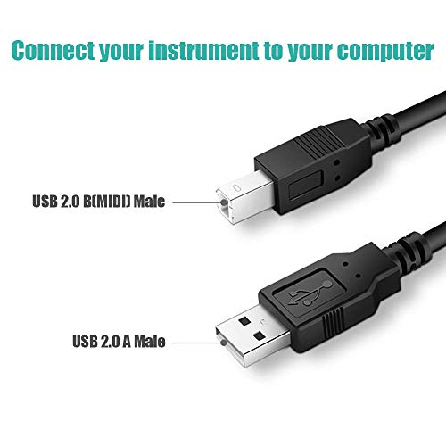 Ancable 6-Feet USB B MIDI Cable for Instruments, USB 2.1 Type A to Type B Printer Cable Cord Compatible with Piano, Midi Controller, Midi Keyboard, Audio Interface Recording, USB Microphone and More