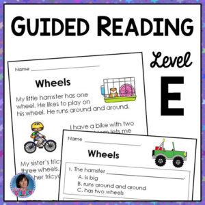 first grade reading passages and questions: guided reading level e