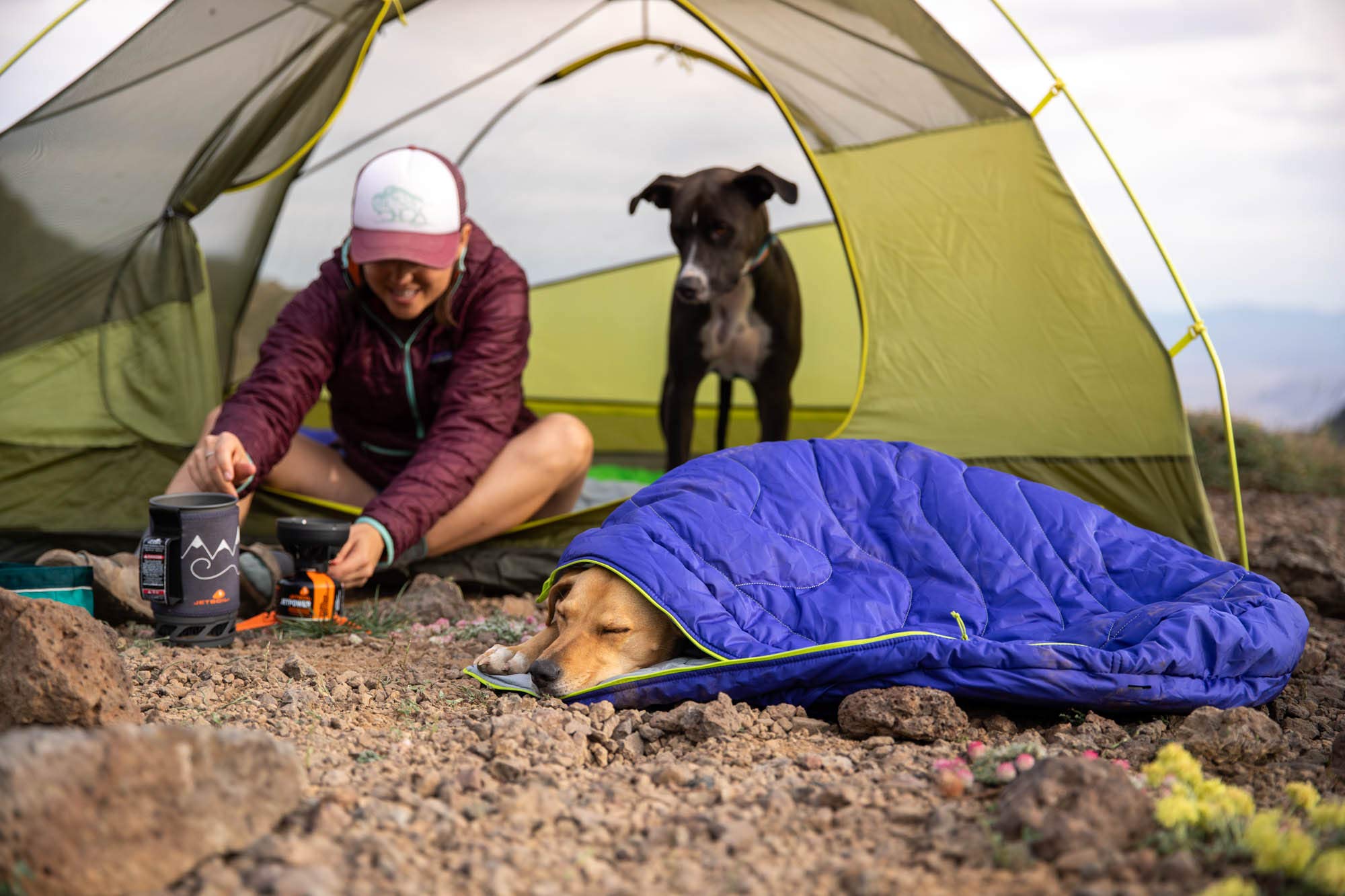 Ruffwear, Highlands Dog Sleeping Bag, Water-Resistant Portable Dog Bed for Outdoor Use, Huckleberry Blue, Large