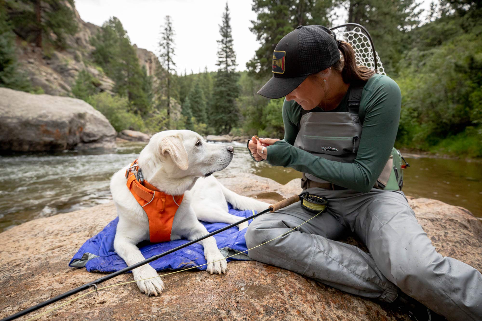 Ruffwear, Highlands Dog Sleeping Bag, Water-Resistant Portable Dog Bed for Outdoor Use, Huckleberry Blue, Large