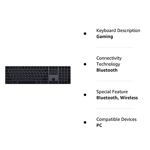 Magic Keyboard 1st gen Gray 109 Keys