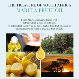 OPPEAL Marula Soul Travel Size Toiletries 3-Piece Set | 1oz Conditioning Shampoo, Body Wash, Facial Soap | Ambergris Scent | 150 Pcs Total | Ample Bulk for Guests