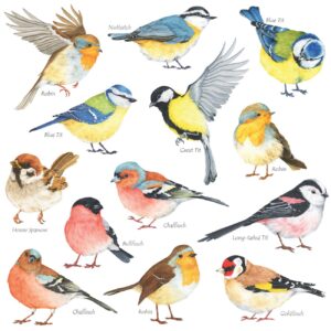 decowall ds2-8038 little birds kids wall stickers wall decals peel and stick removable wall stickers for kids nursery bedroom living room (small) décor