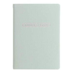 Letts Pastel A5 Address Book, White Paper, 192 Pages, 8.25 x 5.75 x 0.375 Inches, Duck Egg (B090039)