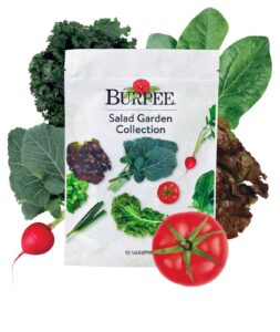 burpee salad garden collection 10 packets of non-gmo 4 lettuce varieties tomato, radish, spinach, kale, scallions & mesclun mix | seeds for planting vegetables