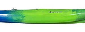 perception Kayaks Zip 9.5 | Sit on Top Kayak for All-Around Fun | Stable and Fast | Rear Storage with Tie Downs | 9' 6" | Earth