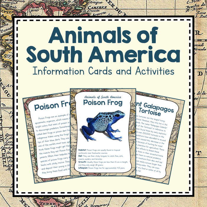 South America Unit Study: Animals of South America Information Cards