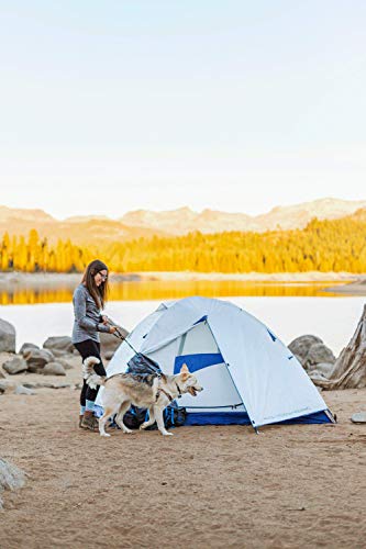 ALPS Mountaineering Lynx 3-Person Tent, Gray/Navy