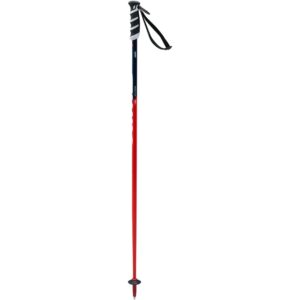 swix world cup pro junior sl ski poles, 95 cm multi