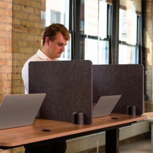 Stand Up Desk Store ReFocus Raw Noise and Distraction Reducing Freestanding Acoustic Desk Divider Mounted Privacy Panel (Anthracite Gray, 20.9" x 16", 4-Pack)