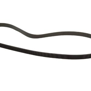 Replacement Poly V Belt - Fits Keiser M3, M3+, M3i, M3Xi Flextonic Belt, OEM# 555406