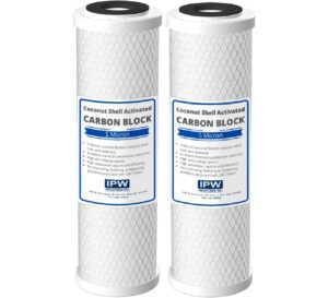 rb-fxsvc comparable filter for the fxsvc, d-250a, pentek p-250 and p-250a dual stage filters, 2-pack by ipw industries inc