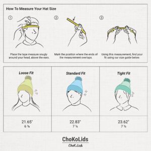 CHOK.LIDS Plain Color Stripe Beanies for Men and Women Soft Acrylic Knit Cuffed Beanie Cap Winter Hat Outdoor (White)