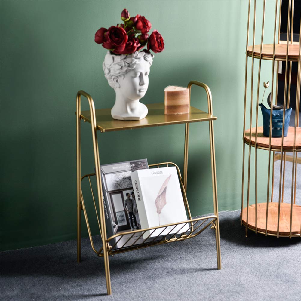 LITA Gold Modern Rectangular Metal Side Table,Two-Story End-Table with Magazine Storage for Bedroom,Living Room,Bedside Table