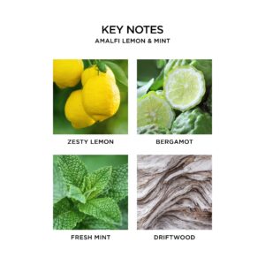 NEST New York Amalfi Lemon & Mint Scented 3-Wick Candle
