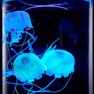 Jellyfish Aquarium