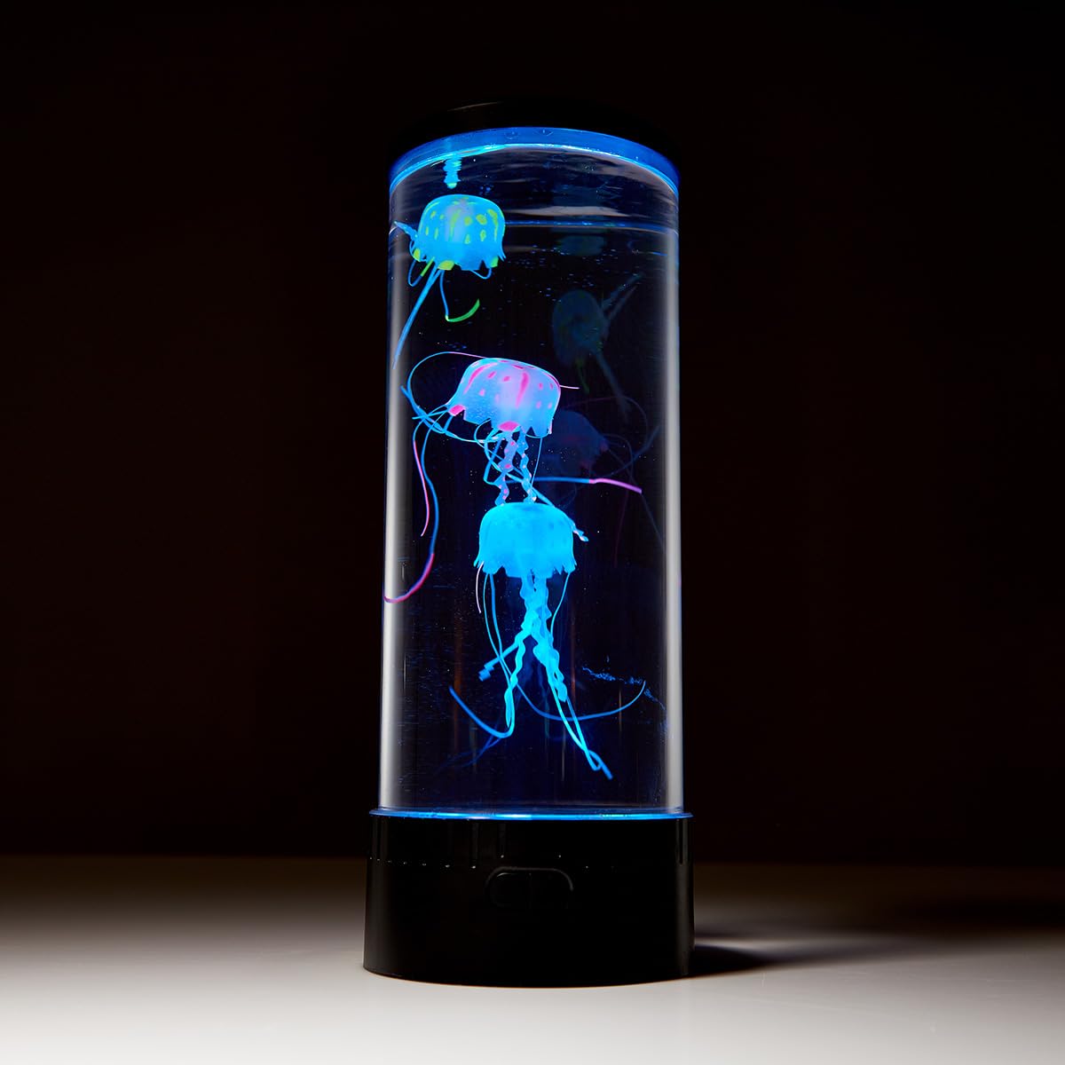 Jellyfish Aquarium