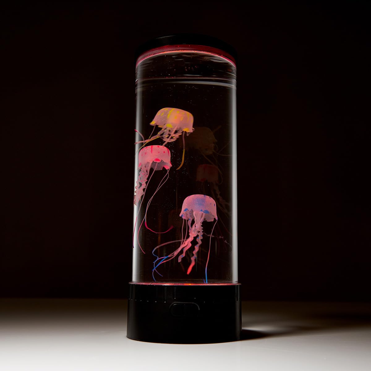 Jellyfish Aquarium