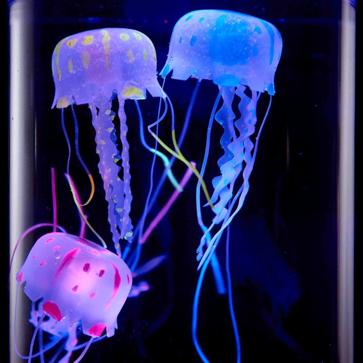 Jellyfish Aquarium