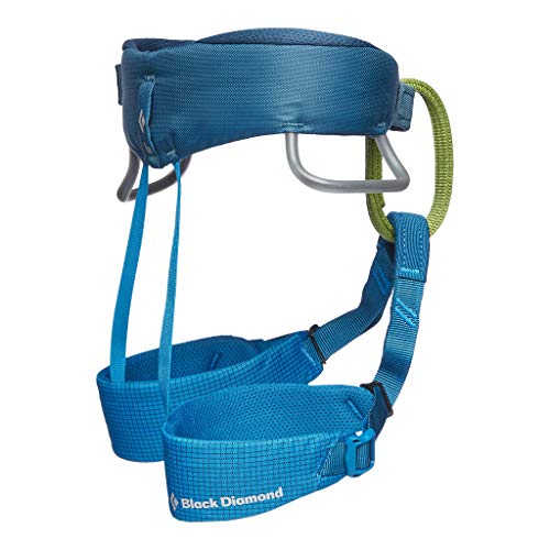 BLACK DIAMOND Momentum Climbing Harness, Kid's, Kingfisher