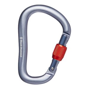 black diamond rocklock screwgate carabiner, gray