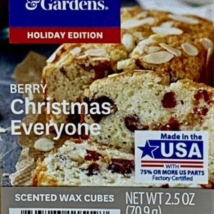 Better Homes and Gardens Berry Christmas Everyone Wax Cubes - 4-Pack