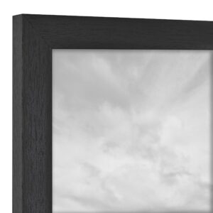 MCS Studio Gallery 16x20 Poster Frame Black Woodgrain, Vertical & Horizontal Wall Hanging Large Picture Frame for Photos, Posters & Art Prints (2-Pack)