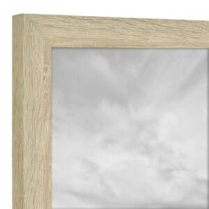 MCS Studio Gallery 18x24 Poster Frame Natural Woodgrain, Vertical & Horizontal Wall Hanging Large Picture Frame for Photos, Posters & Art Prints (1-Pack)