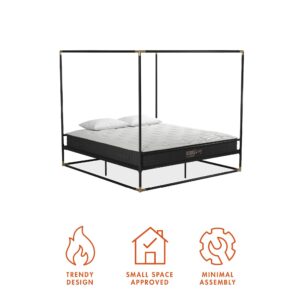 CosmoLiving by Cosmopolitan CosmoLiving Celeste Canopy Metal, King Size Frame, Black/Gold Bed