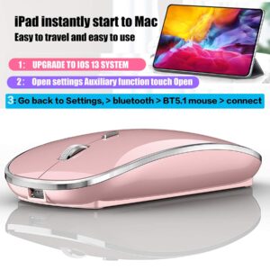 Bluetooth Mouse for iPad pro iPad Air Mac MacBook Pro MacBook Air MacBook Wireless Mouse Laptop Chromebook Win8/10/11 HP DELL PC (Pink)