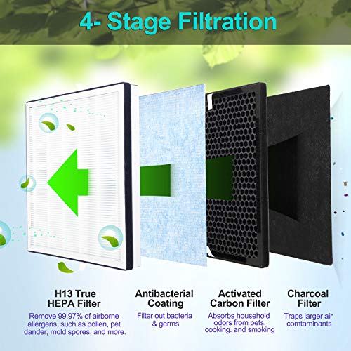 Flintar 2-Pack of Premium H13 Grade True HEPA Replacement Filter Set, Compatible with RENPHO Air Purifier RP-AP001, RP-AP001S, and RP-AP002, Part # RP-AP001