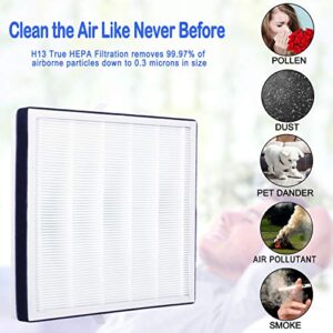 Flintar 2-Pack of Premium H13 Grade True HEPA Replacement Filter Set, Compatible with RENPHO Air Purifier RP-AP001, RP-AP001S, and RP-AP002, Part # RP-AP001