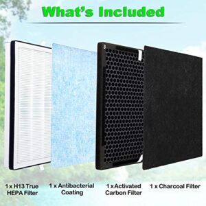 Flintar 2-Pack of Premium H13 Grade True HEPA Replacement Filter Set, Compatible with RENPHO Air Purifier RP-AP001, RP-AP001S, and RP-AP002, Part # RP-AP001