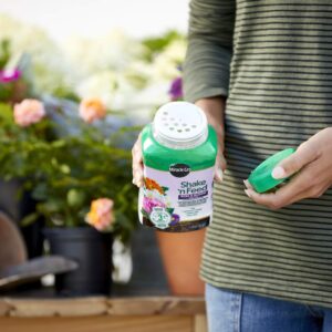 Miracle-Gro Shake 'n Feed Rose and Bloom Plant Food - Promotes More Blooms and Spectacular Colors (vs. Unfed Plants), Feeds Roses and Flowering Plants for up to 3 Months, 1 lb.