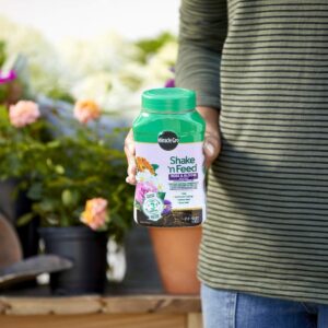 Miracle-Gro Shake 'n Feed Rose and Bloom Plant Food - Promotes More Blooms and Spectacular Colors (vs. Unfed Plants), Feeds Roses and Flowering Plants for up to 3 Months, 1 lb.