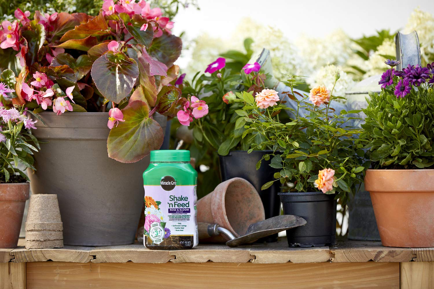 Miracle-Gro Shake 'n Feed Rose and Bloom Plant Food - Promotes More Blooms and Spectacular Colors (vs. Unfed Plants), Feeds Roses and Flowering Plants for up to 3 Months, 1 lb.