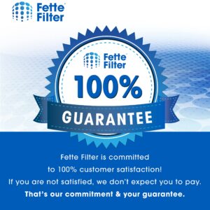 Fette Filter -HSP001 Filter Replacements for HATHASPACE Air Purifier HSP001, True HEPA Filter with Activated Carbon Pre-Filters. Includes 2 H13 True Hepa FIlters and 2 Activated Carbon Filters.