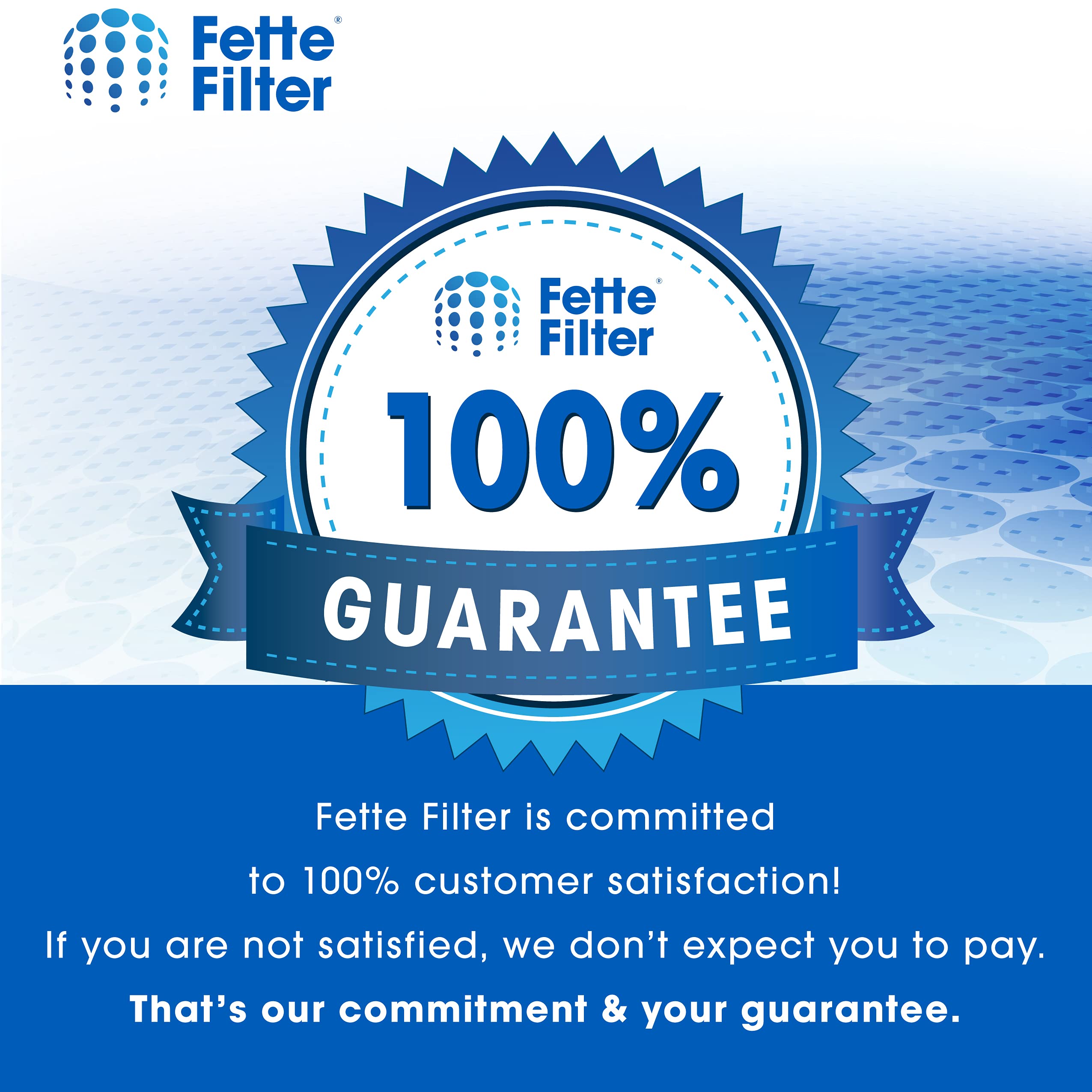 Fette Filter -HSP001 Filter Replacements for HATHASPACE Air Purifier HSP001, True HEPA Filter with Activated Carbon Pre-Filters. Includes 2 H13 True Hepa FIlters and 2 Activated Carbon Filters.