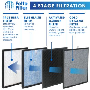 Fette Filter -HSP001 Filter Replacements for HATHASPACE Air Purifier HSP001, True HEPA Filter with Activated Carbon Pre-Filters. Includes 2 H13 True Hepa FIlters and 2 Activated Carbon Filters.