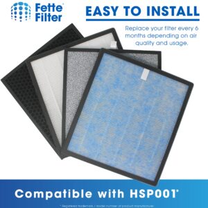 Fette Filter -HSP001 Filter Replacements for HATHASPACE Air Purifier HSP001, True HEPA Filter with Activated Carbon Pre-Filters. Includes 2 H13 True Hepa FIlters and 2 Activated Carbon Filters.