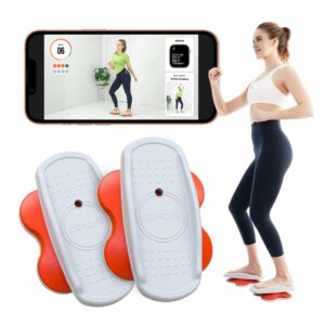 dipda- compact core twisters for home gym - workout twist boards for exercise twister | twister exercise board | ab board exercise twister board as seen on tv | twisting waist exercise equipment