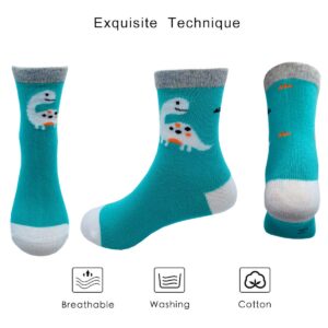 Cczmfeas Kids Boys Cartoon Dinosaurs Pattern Sport Socks 10 Pairs (4-7 Years, Dinosaurs-B)