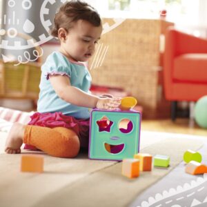 Playskool Form Fitter Shape Sorter Matching Activity Cube Toy with 9 Shapes for Toddlers and Kids 18 Months and Up (Amazon Exclusive)