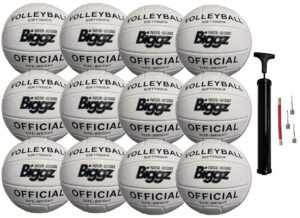 biggz (pack of 12) volleyballs - soft touch leather - indoor/outdoor